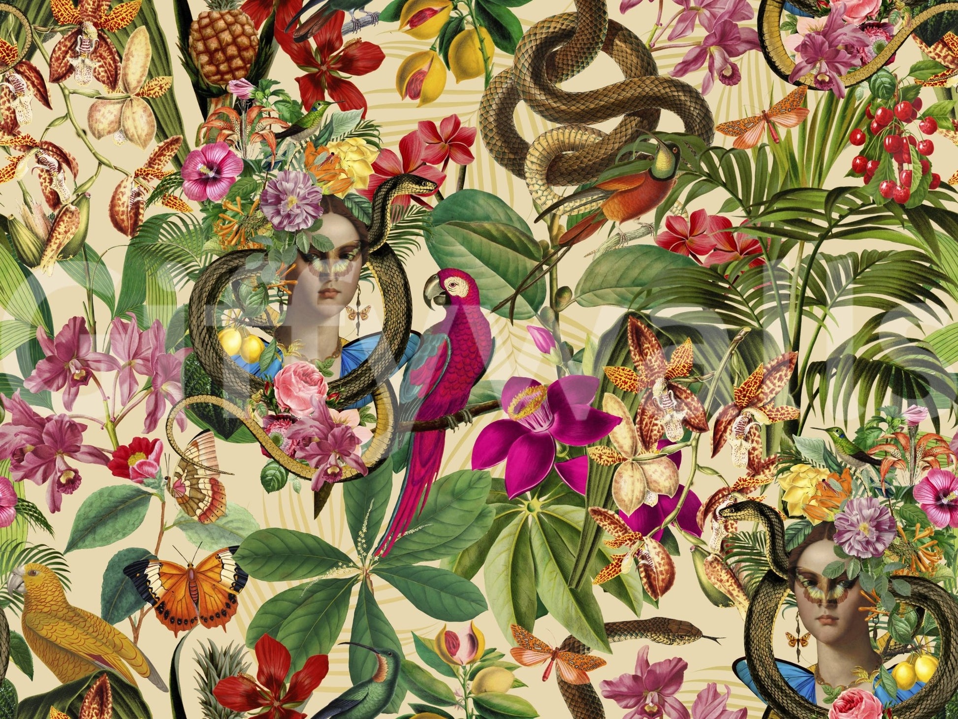 Surreal nature-inspired wallpaper for walls, GD2609
