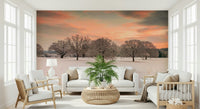 Snow Covered Field spectacular vistas modern living space addition