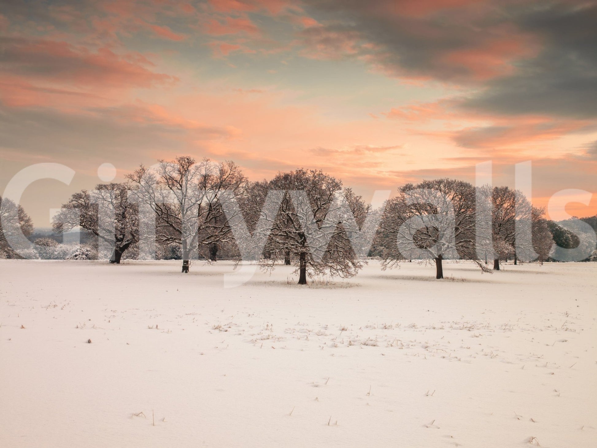 Snow Covered Field snowfall scenic view blissful setting wall art