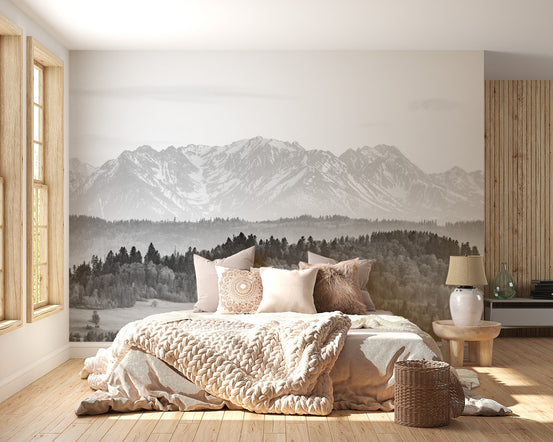 Snowy Mountain Wall Mural B224