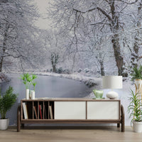 The wallpaper is used as a feature wall in a bedroom.

