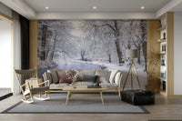 The wallpaper for walls being admired in a home.

