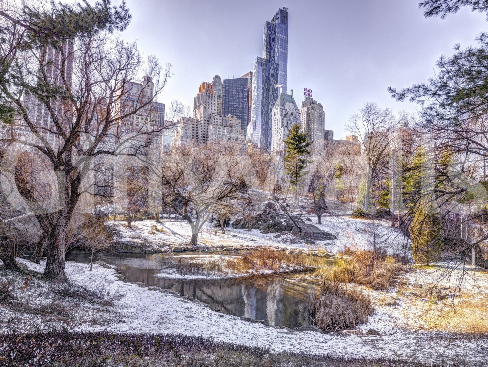 Peaceful winter woodland wall mural for a serene guest suite.