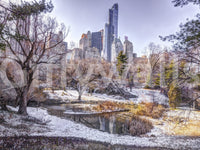 Peaceful winter woodland wall mural for a serene guest suite.