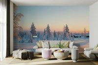 The light creates long, blue shadows from the trees across the snow.
