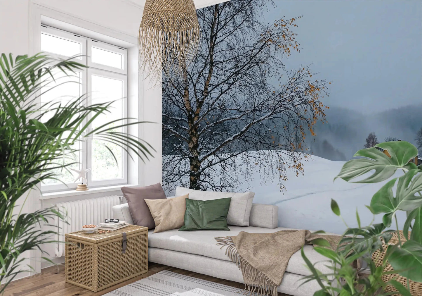 Bare birch branches stretch across the foreground of this snowy path wall mural.GD9529