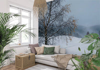 Bare birch branches stretch across the foreground of this snowy path wall mural.GD9529