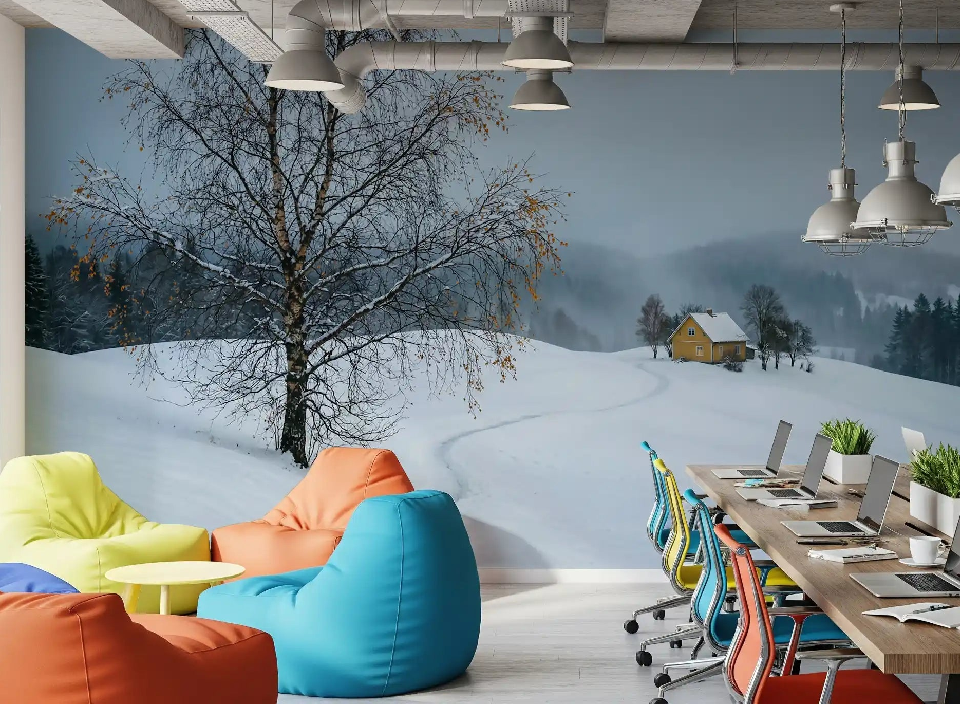 Snowy path wall mural Oiffce workplace area into a quiet winter landscape view.
GD9529