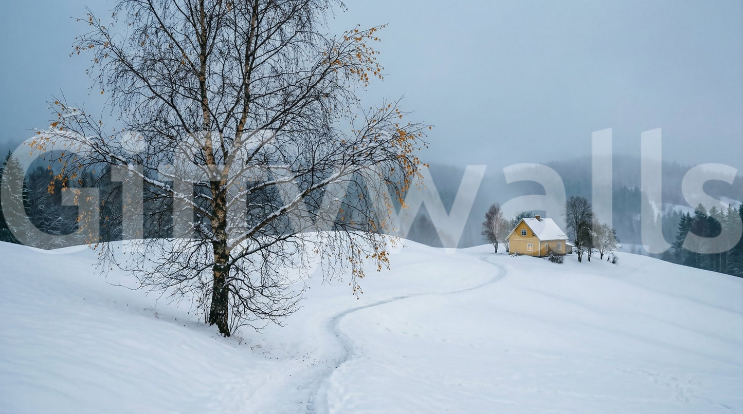 Muted grey skies meet white snowfields across this snowy path birch wall mural.GD9529