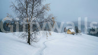 Muted grey skies meet white snowfields across this snowy path birch wall mural.GD9529