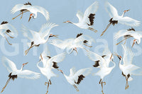 The image has a calm, tranquil feel.

