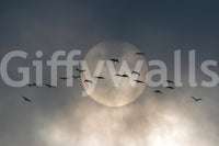A high-quality abstract print wall mural for walls.