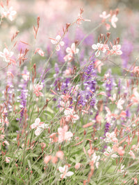 Watercolor-style mural in soft shades

