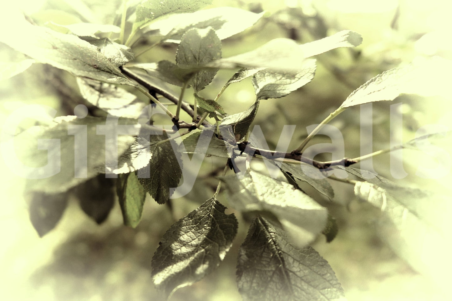 Inviting and calming outdoor feel.

