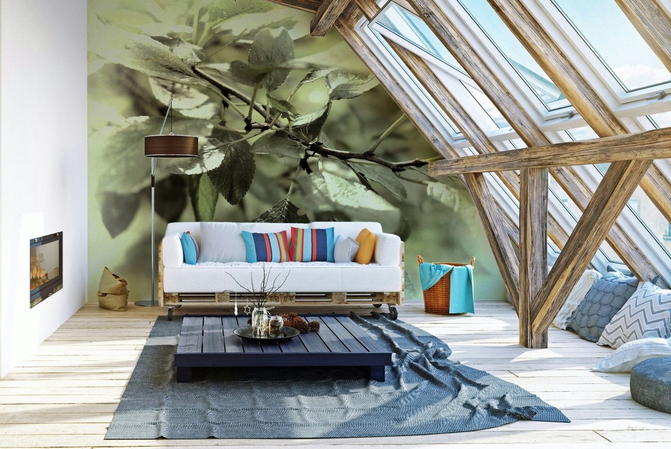 Close-up of soft green leaves.

