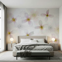 A beautiful soft focus floral wallpaper mural with delicate petals.