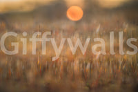 A high-quality serene flower wall mural for walls.