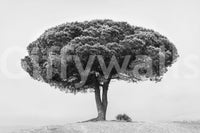 A high-quality minimalist peak wall mural for walls.