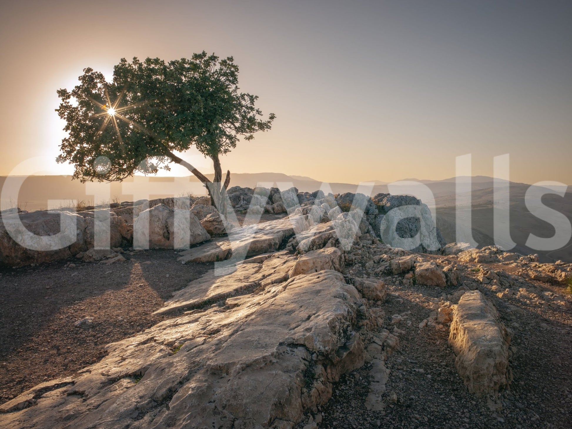 Peaceful wall mural with a solitary tree at dusk.

