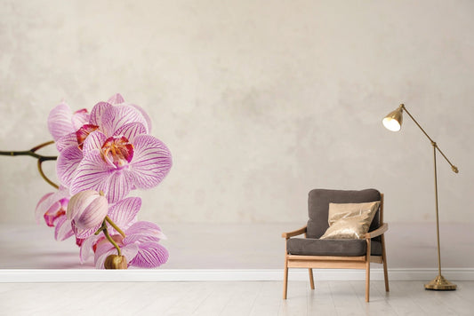 Orchid flower mural for serene wall decor Zen-1
