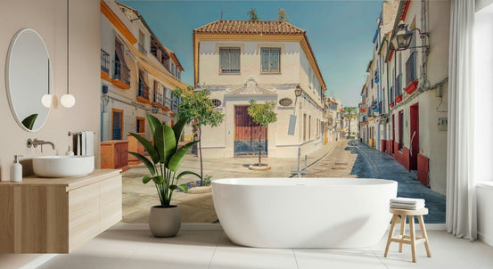 Spanish Street Charm wall mural showing whitewashed homes along a lane GD7392
