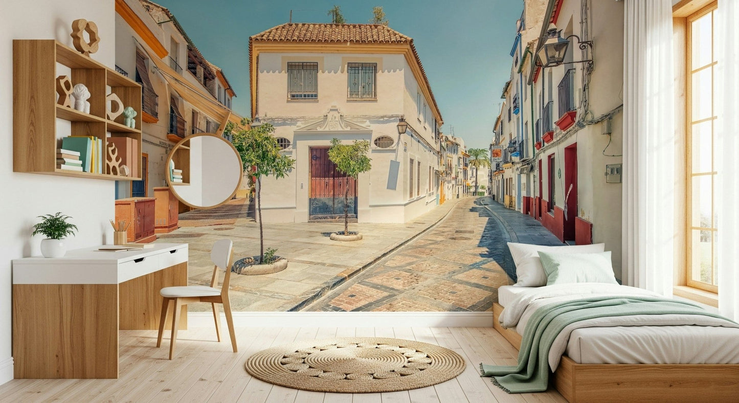 Spanish Street Charm Wall Mural