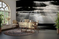 A serene subtle spot wall mural for your decor.

