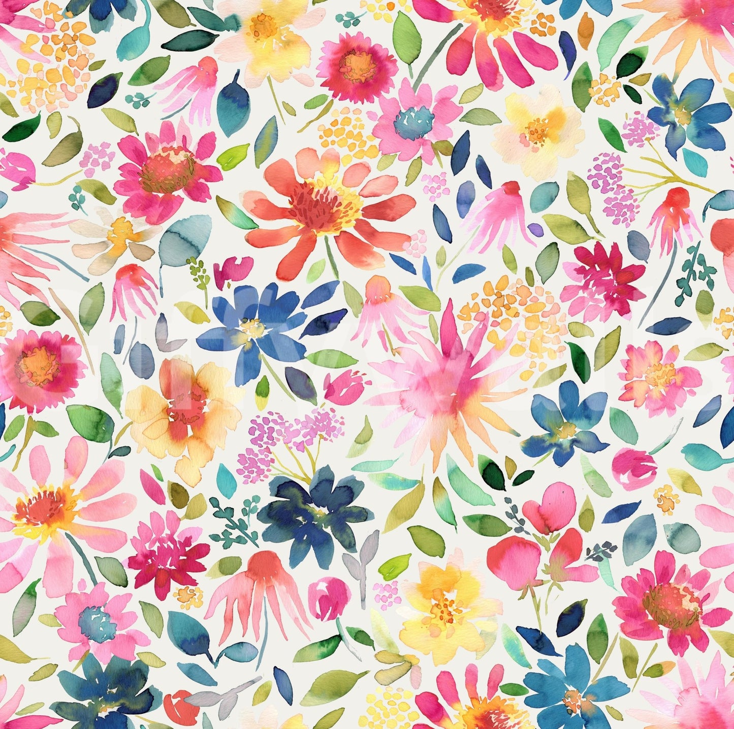 Spring Flowers Zinnias Garden Nature Fresh Wallpaper⁠