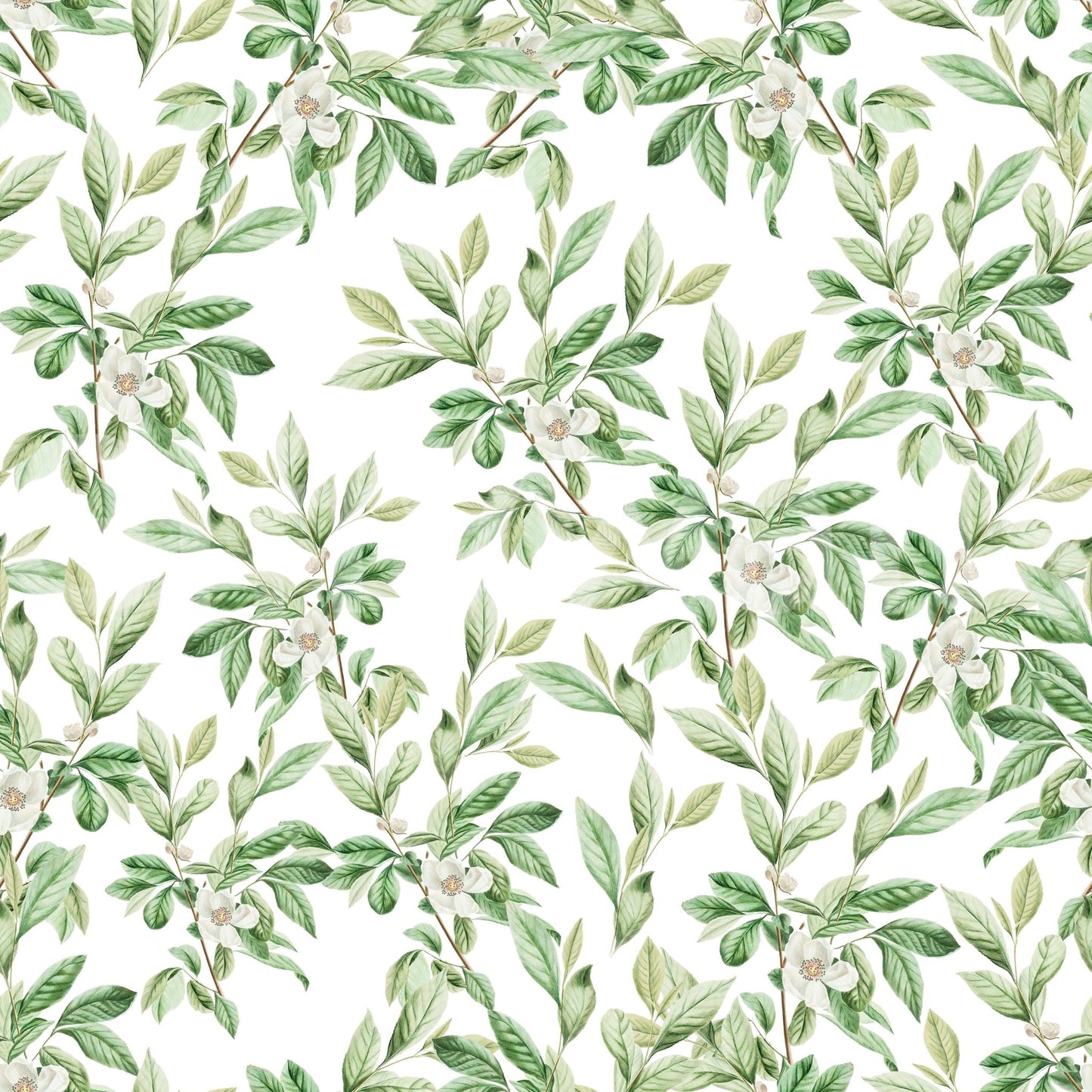 The image provides a sense of quiet beauty and tranquility.
