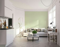 Spring Scattered Leaves botanical wall mural GD156

