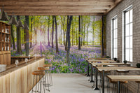 A small path is visible leading into the woods.

