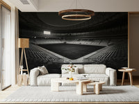 A serene monochromatic sports arena wall mural for dramatic decor.