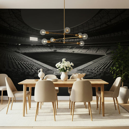 A beautiful panoramic stadium wallpaper mural in black and white.