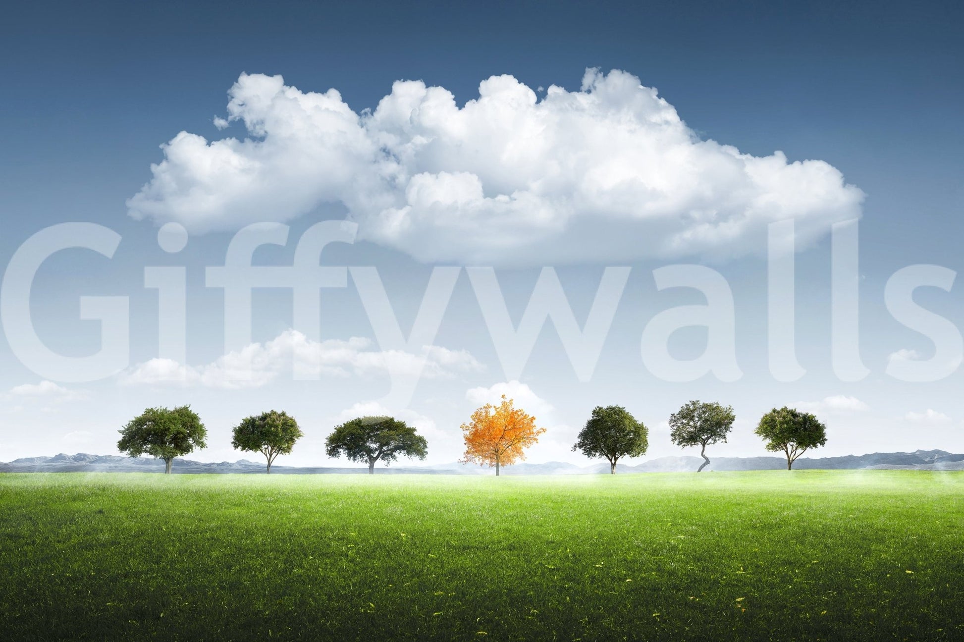 A high-quality abstract print wall mural for walls.