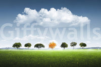 A high-quality abstract print wall mural for walls.