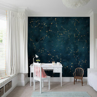 Detailed zodiac star map wall mural with constellations

