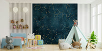 Celestial zodiac constellation mural for wall decoration

