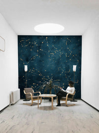 Stunning zodiac constellations wall mural design

