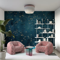 Zodiac constellation-themed star map wall mural

