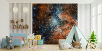 Starlight Vista Wall Mural midnight sky backdrop for a hallway wallpaper mural
