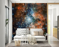 Starlight Vista Wall Mural astronomical pattern for a nursery wallpaper mural, GD7656