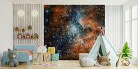 Starlight Vista Wall Mural midnight sky backdrop for a hallway wallpaper mural, GD7656