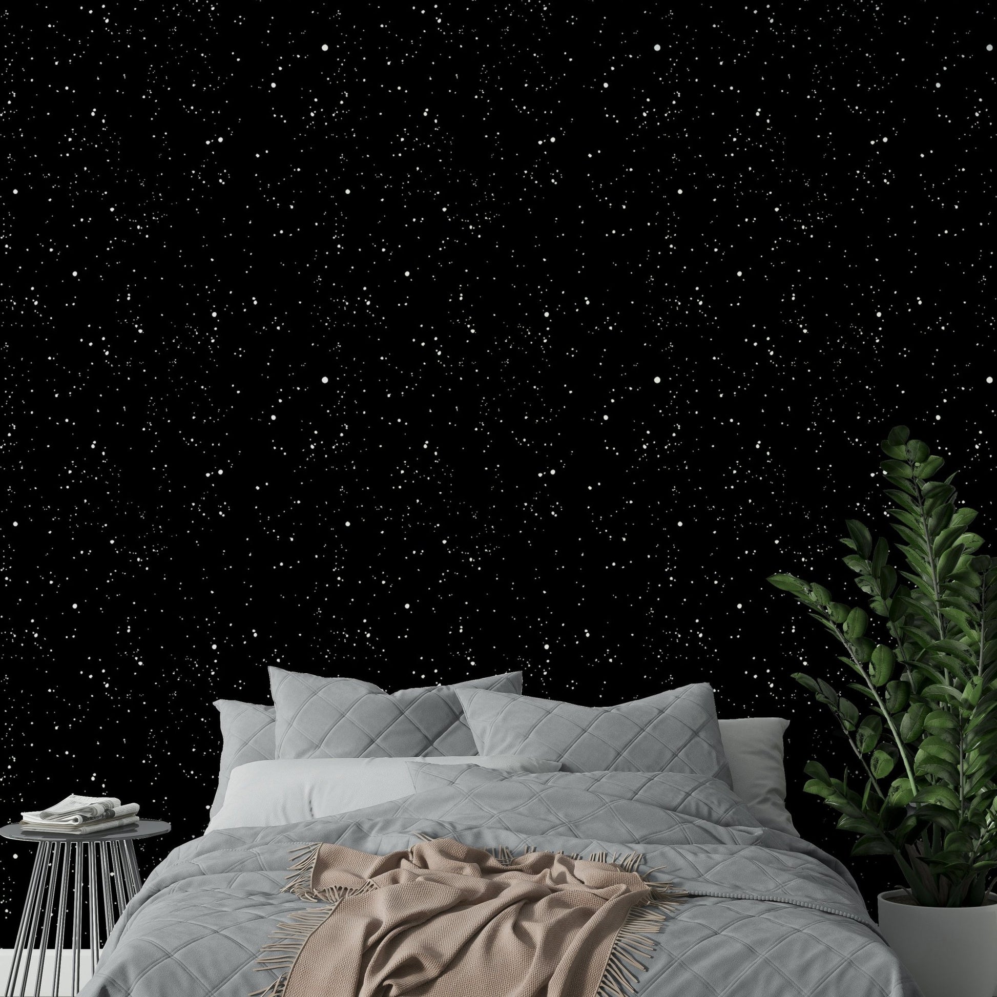 The sky is filled with a dense pattern of tiny stars.
