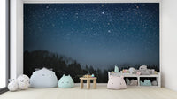 Magical Starry Night Wall Mural for Homes mountain-03