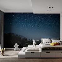 Starry Night Wallpaper Mural mountain-03