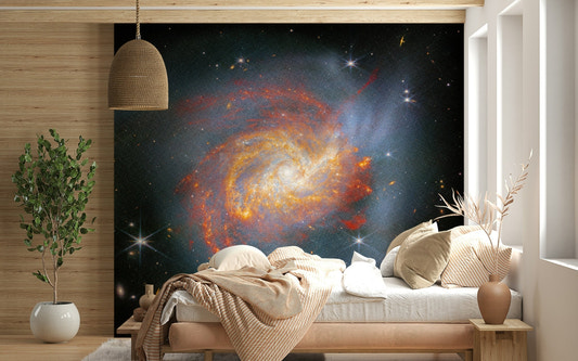 Stellar Canvas wall mural in a modern living room setting.