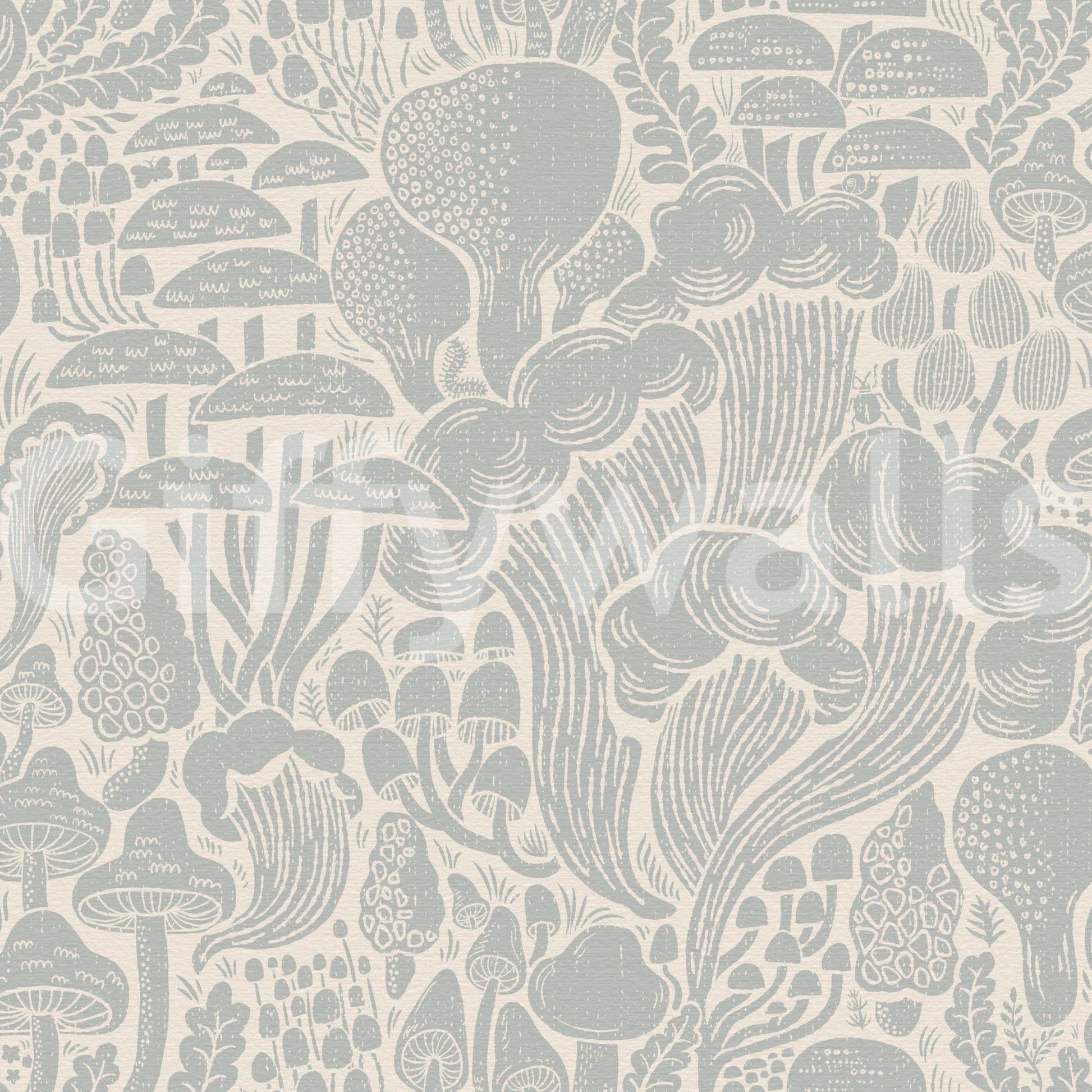 Woodland mushrooms and fungi wall mural

