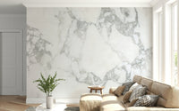 Textured wallpaper for walls behind a sleek fireplace.