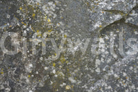 A high-quality minimalist wall mural for walls.