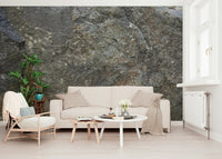 Modern dining room with dramatic stone wallpaper mural., GD6080